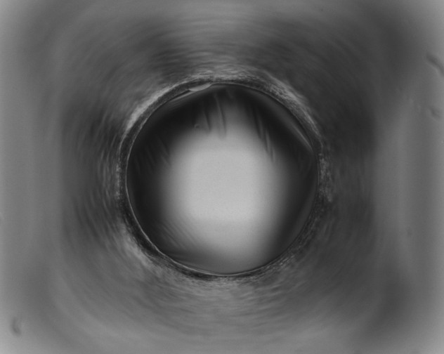 X0000099460012200805231817