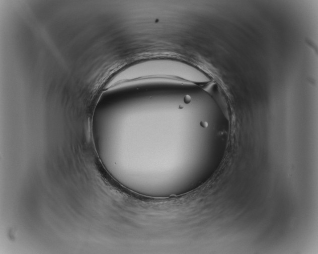 X0000099460013200805231817