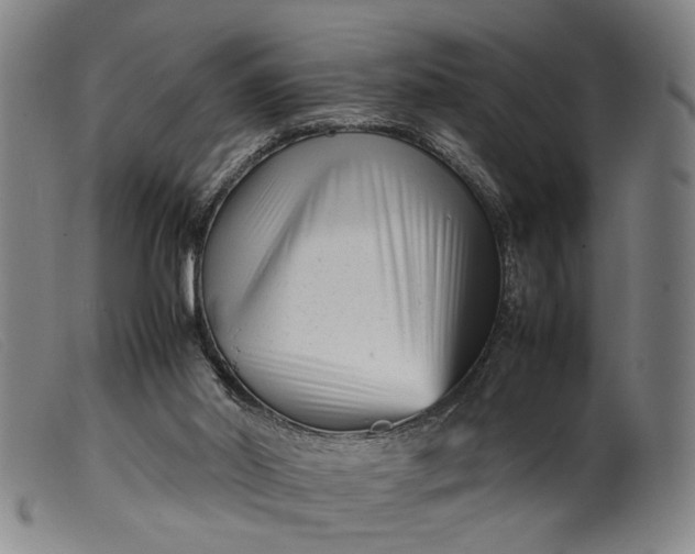 X0000099460014200805231817