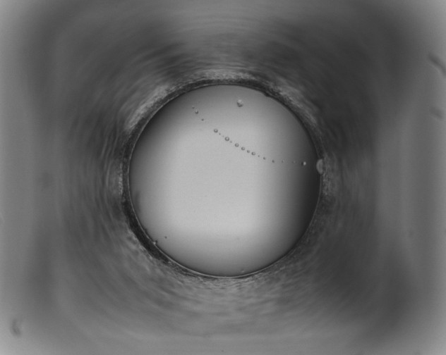 X0000099460015200805231817