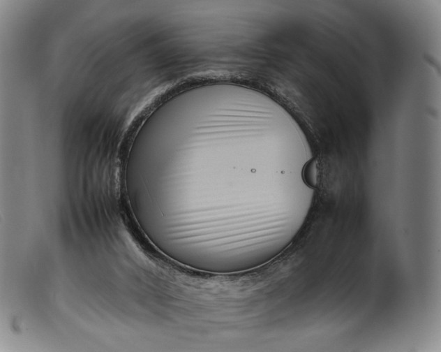 X0000099460016200805231817