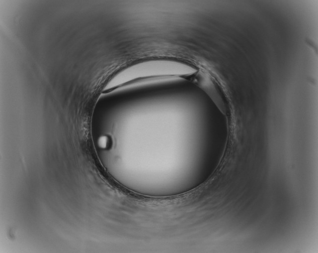 X0000099460017200805231817