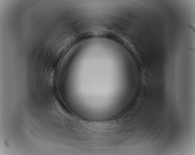 X0000099460018200805231817