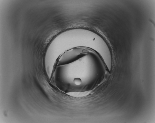 X0000099460019200805231817