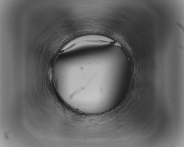 X0000099460021200805231817