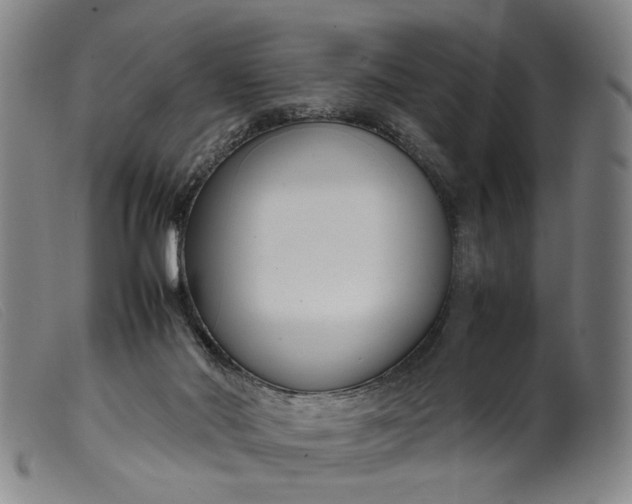 X0000099460022200805231817