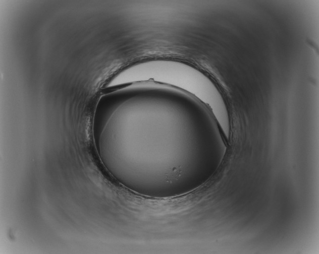 X0000099460023200805231817