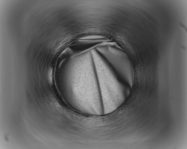 X0000099460024200805231817