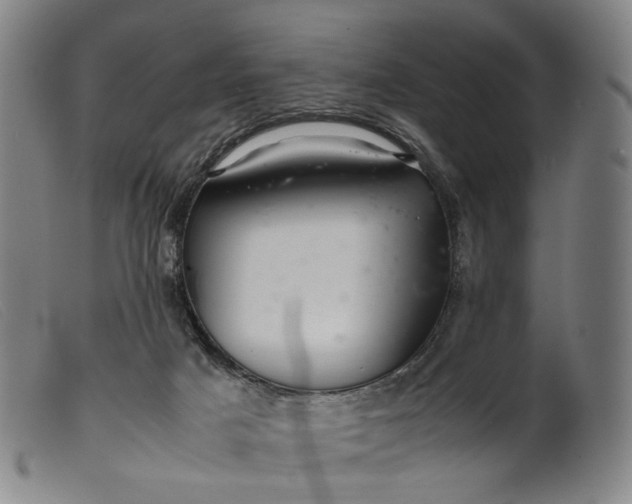 X0000099460025200805231817