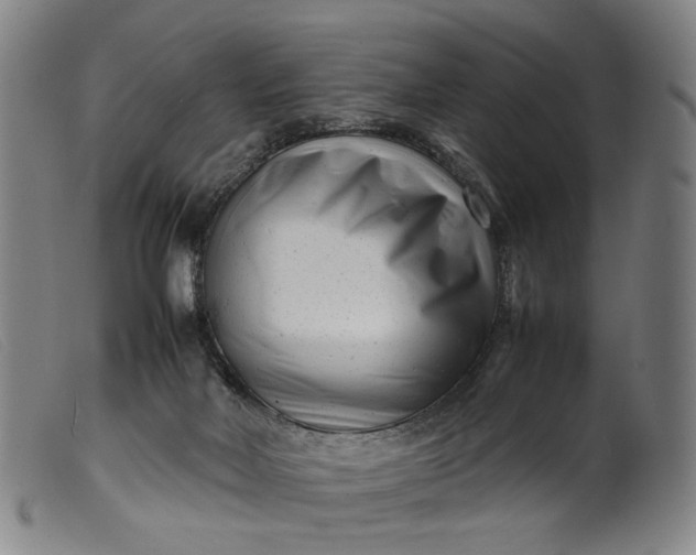 X0000099460026200805231817