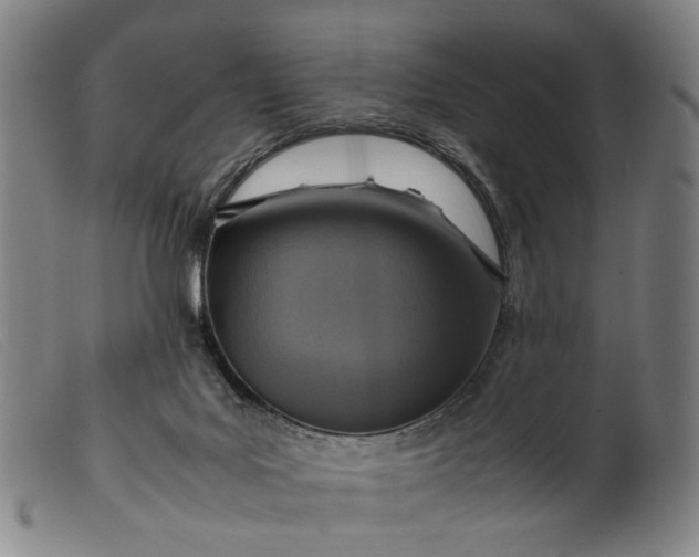 X0000099460027200805231817