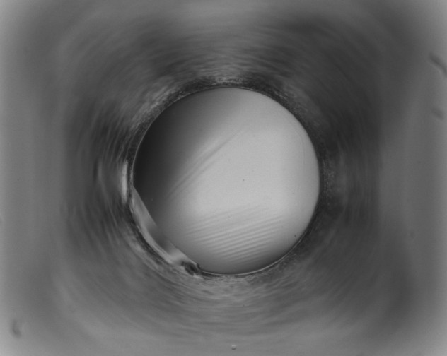 X0000099460028200805231817