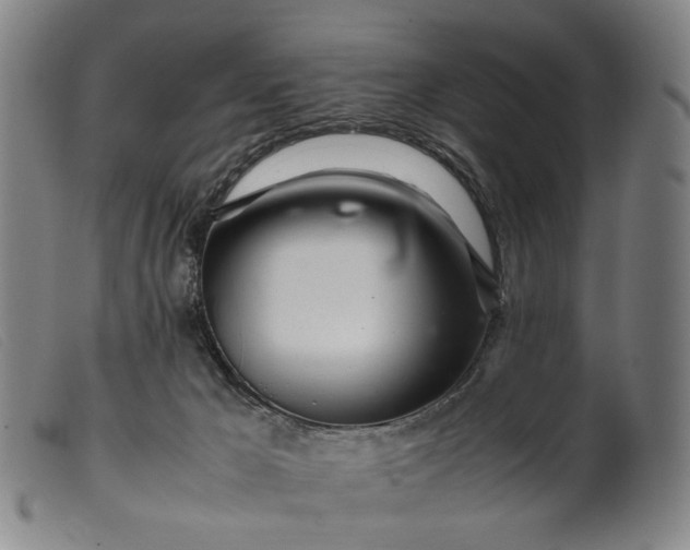 X0000099460029200805231817