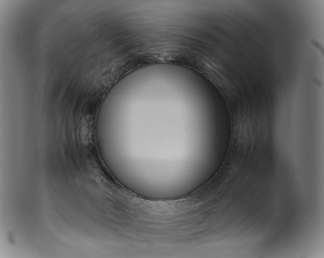 X0000099460030200805231817