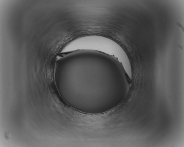 X0000099460031200805231817