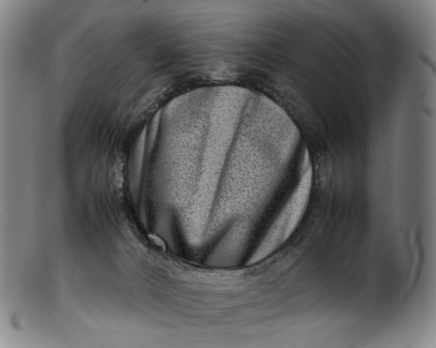 X0000099460032200805231817