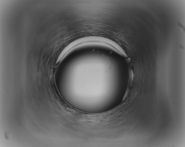 X0000099460033200805231817