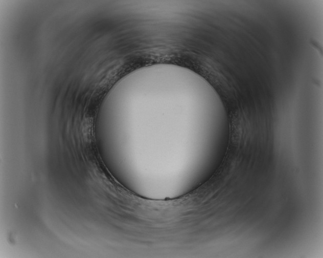 X0000099460034200805231817