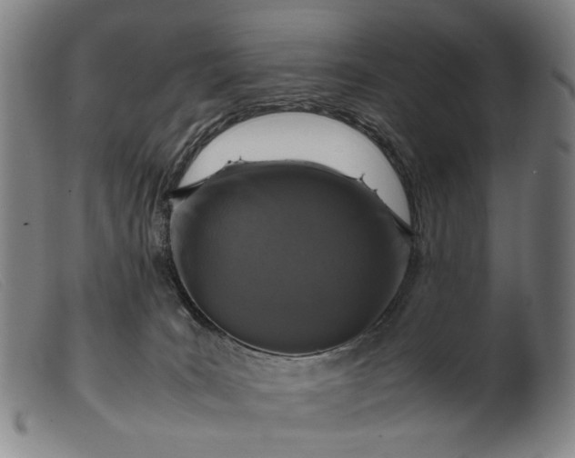 X0000099460035200805231817