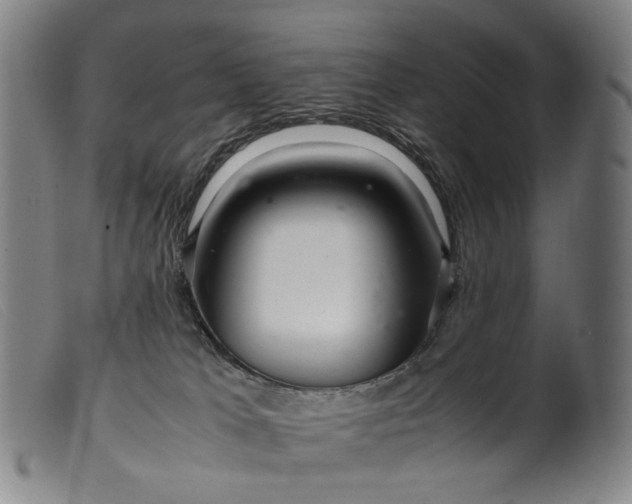 X0000099460037200805231817