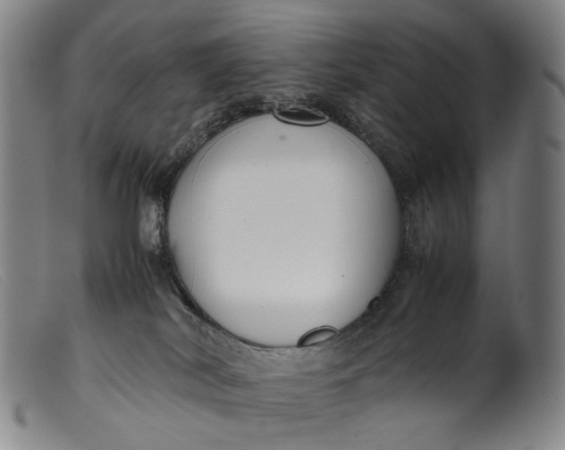 X0000099460038200805231817