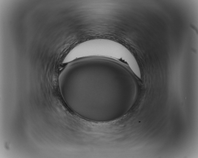 X0000099460039200805231817