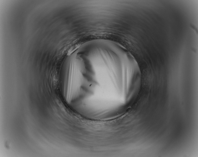 X0000099460040200805231817