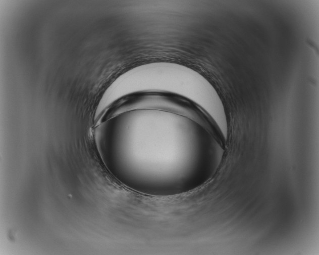 X0000099460041200805231817