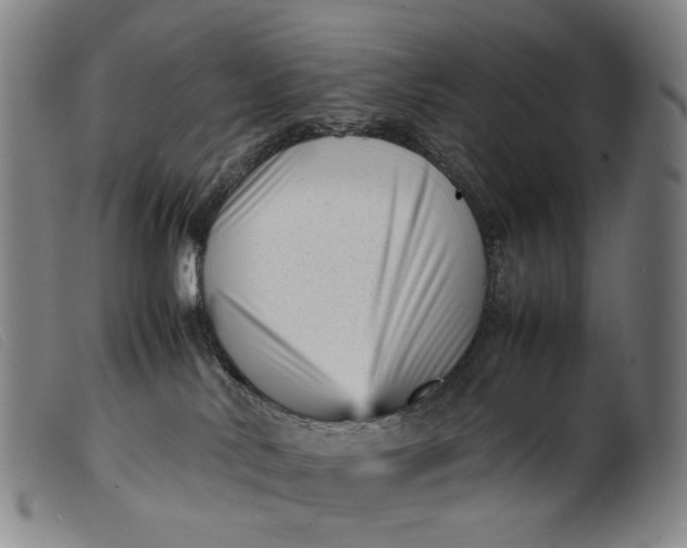 X0000099460042200805231817