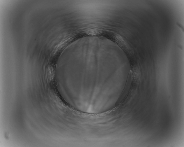 X0000099460043200805231817