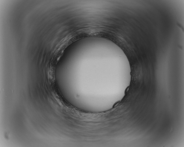 X0000099460044200805231817