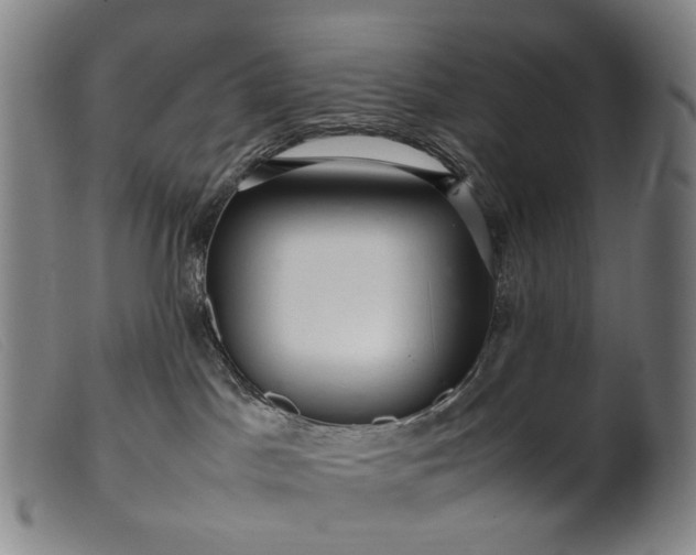 X0000099460045200805231817