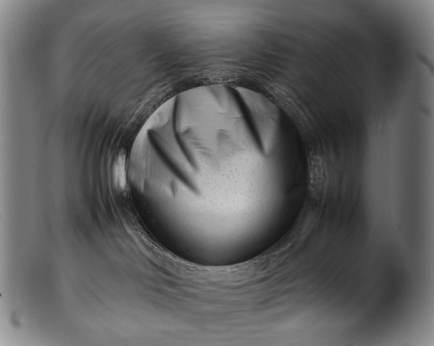 X0000099460046200805231817