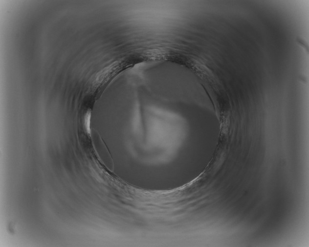 X0000099460047200805231817