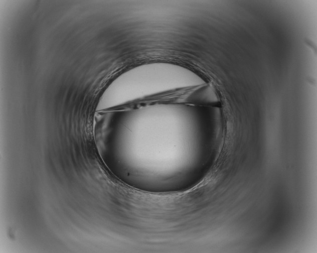 X0000099460048200805231817