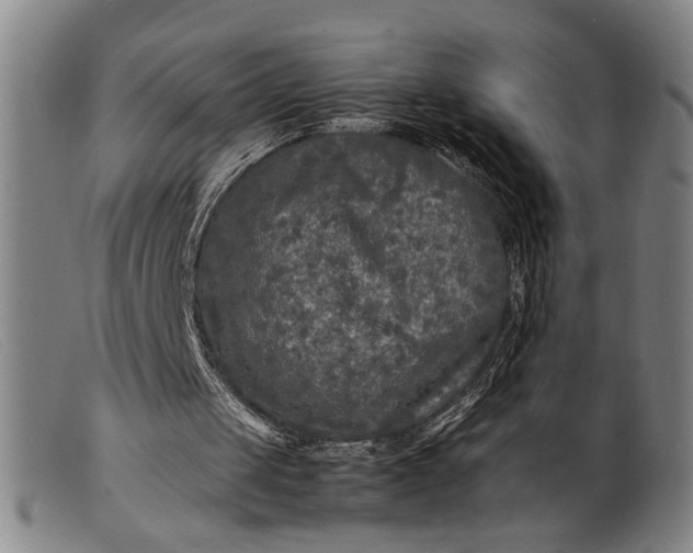 X0000099460049200805231816