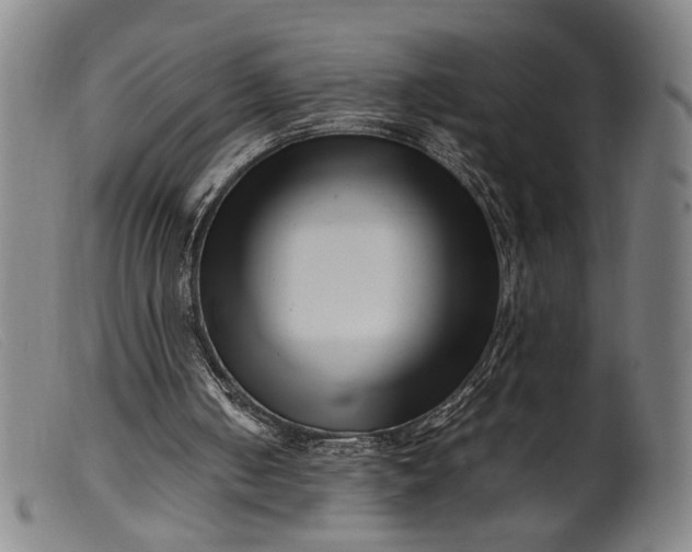 X0000099460050200805231816