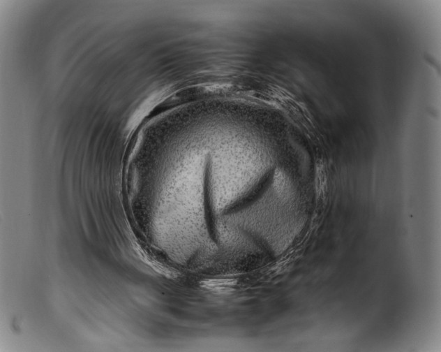 X0000099460051200805231816