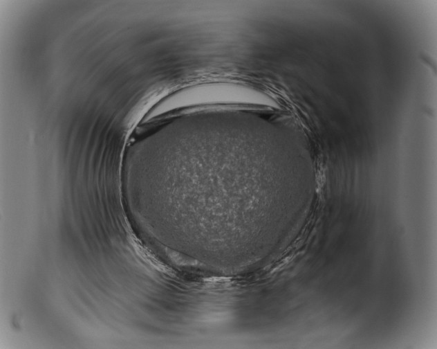 X0000099460052200805231816