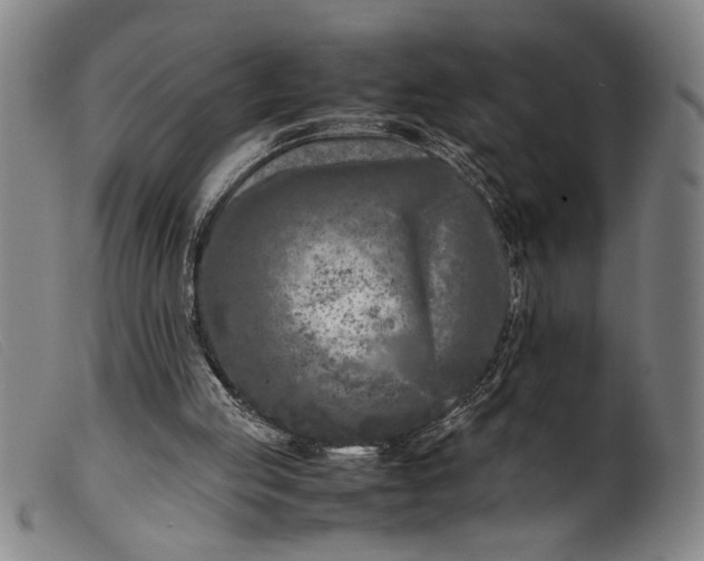 X0000099460053200805231816