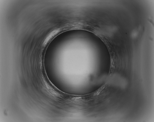 X0000099460054200805231816