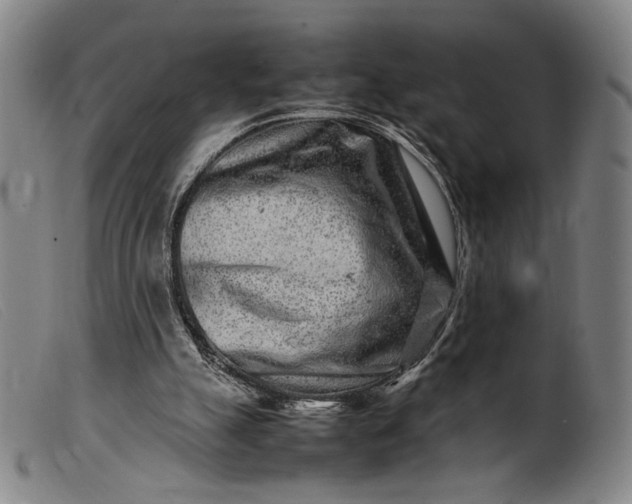 X0000099460055200805231816