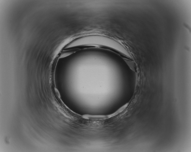 X0000099460056200805231816