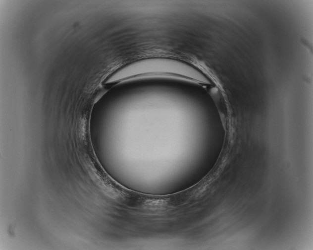 X0000099460057200805231816