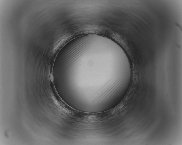 X0000099460058200805231816