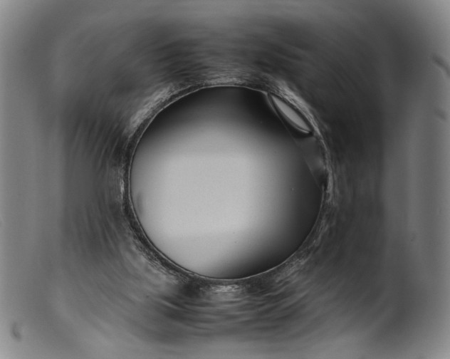 X0000099460059200805231816