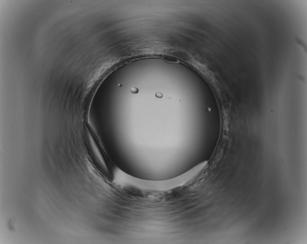 X0000099460060200805231816