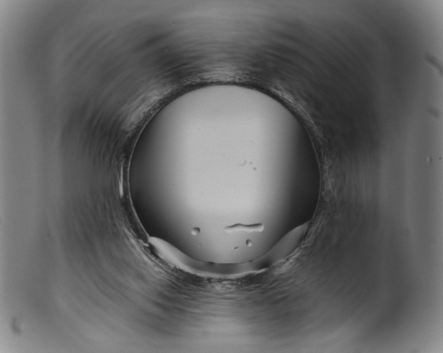 X0000099460062200805231816