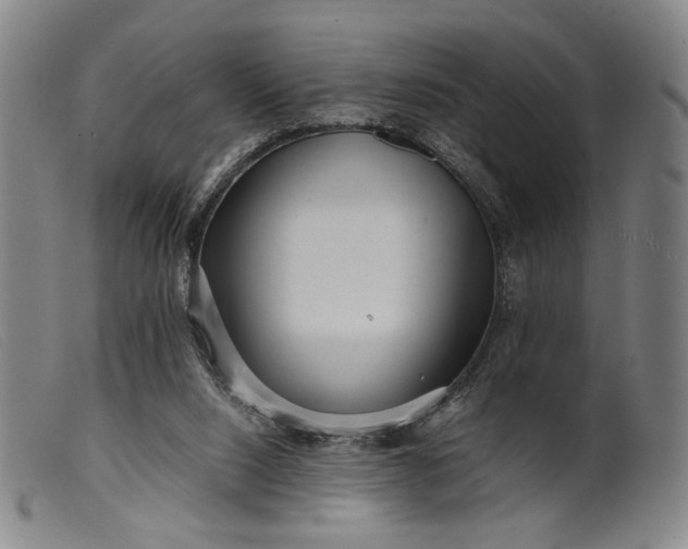 X0000099460064200805231816