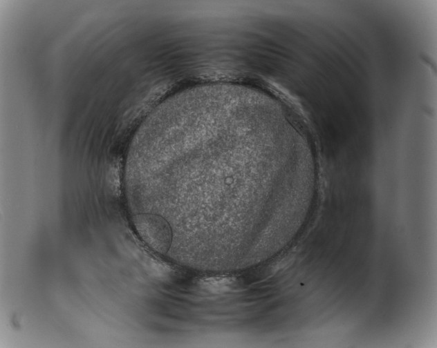 X0000099460065200805231816